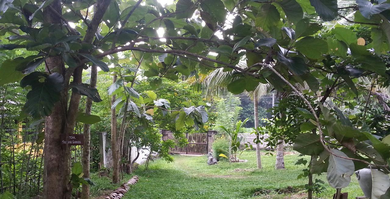 Villa Cinnamon Hills Galle Exteriör bild